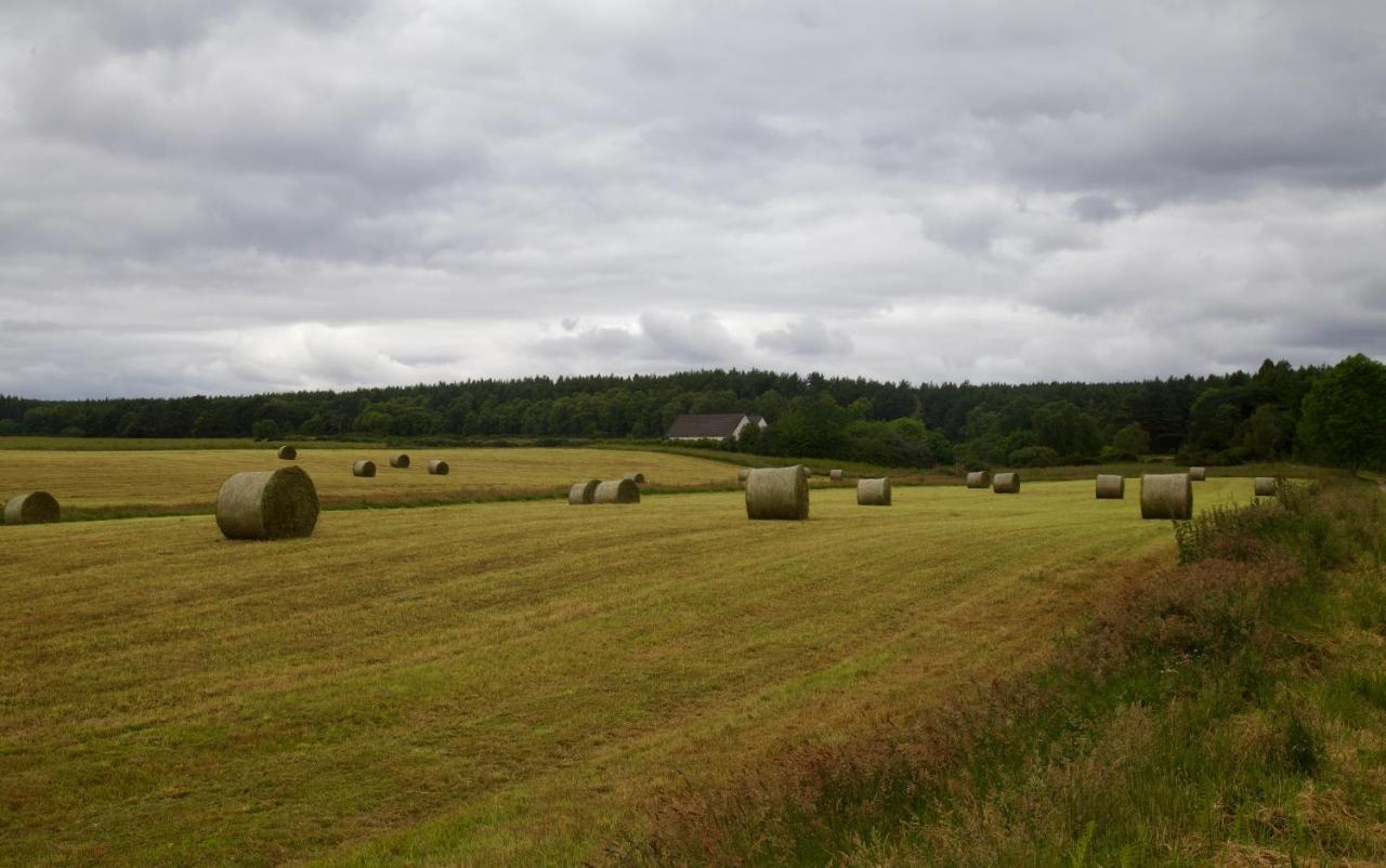 Clashmore Wood Dornoch Exterior foto